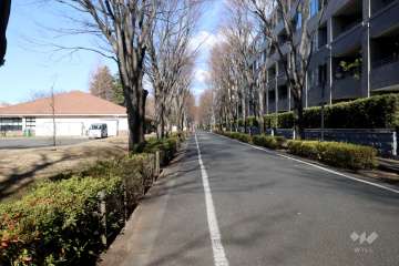 敷地西側の前面道路