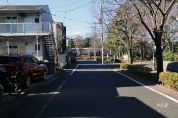 敷地南側の前面道路(西側から)