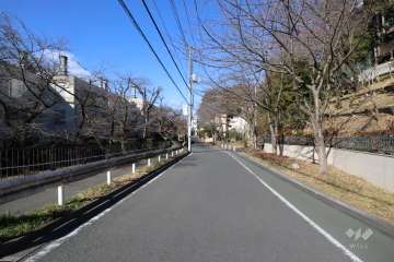敷地東側の前面道路(南側から）