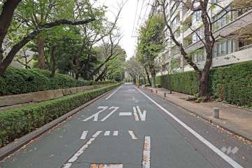 敷地南側の前面道路