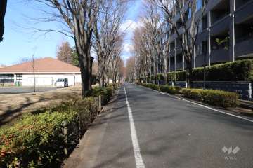 敷地西側の前面道路