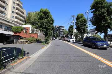 敷地南側の前面道路（西側から）