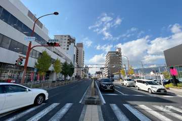 敷地南側の前面道路(西側から)