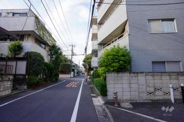 敷地西側の前面道路（南側から）