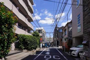 敷地南側の前面道路（西側から）