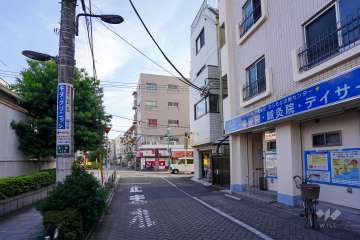 敷地東側の前面道路（北側から）