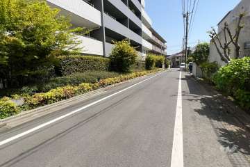 敷地の南東側前面道路(南西側から)