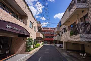 敷地南側の前面道路（西側から）