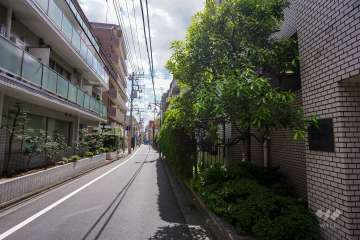 敷地東側の前面道路（北側から）