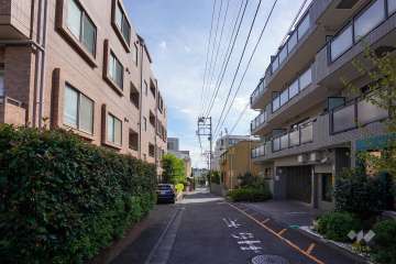 敷地西側の前面道路（北側から）