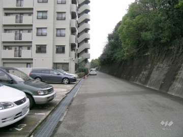 敷地の西側には雑木林が広がっています