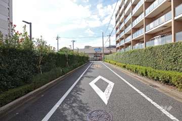 敷地北側の前面道路（西側から）