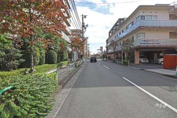 敷地西側の前面道路（北側から）