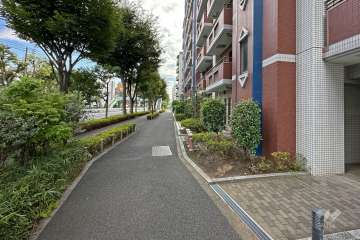 敷地東側の前面道路（都道311号・環八通り）