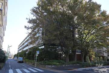 ルネ世田谷千歳台の外観（北東側から）