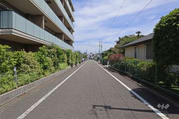 敷地南西側の前面道路（北西側から）