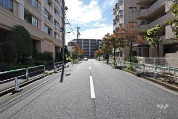 敷地の西側前面道路（北側から）