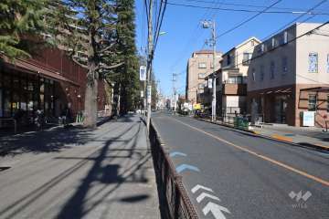 前面道路(東側)