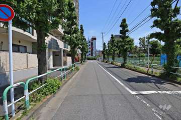 敷地南側の前面道路（東側から）