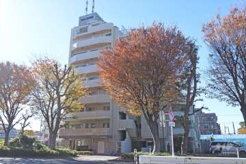 外観(北東側から)