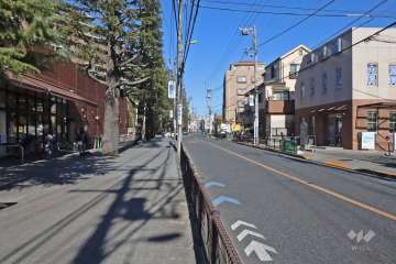 敷地東側の前面道路は千歳通りです(南側から)。