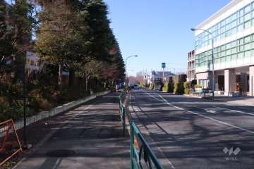 敷地北側の前面道路