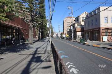 敷地東側の前面道路