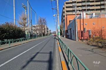 敷地西側の前面道路の向かいは「千歳中学校」です(南側から)。