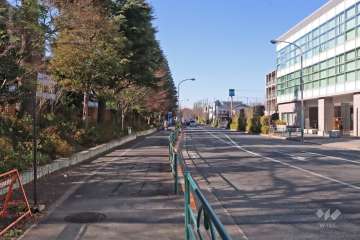 敷地北側の前面道路(東側から)