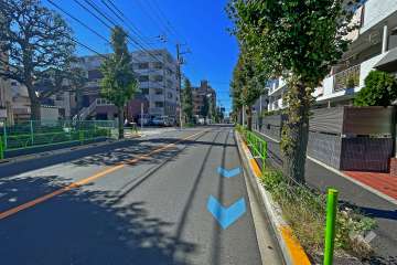 敷地南側の前面道路（西側から）