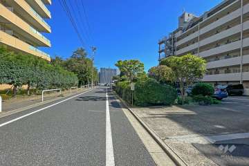 敷地北側の前面道路（西側から）