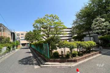 敷地南側道路向いにある公園