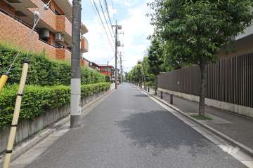 敷地南側の前面道路（西側から）