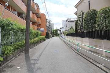 敷地西側の前面道路（北側から）