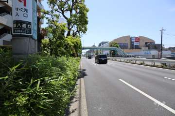 敷地西側の前面道路（南側から）