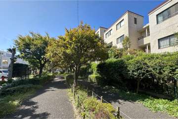 敷地南東側の通路（北東側から）