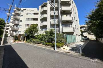 敷地の南側前面道路（南側から）