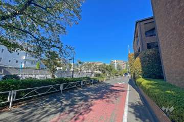 敷地南西側の前面道路（南東側から）