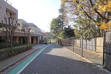 敷地北側の前面道路