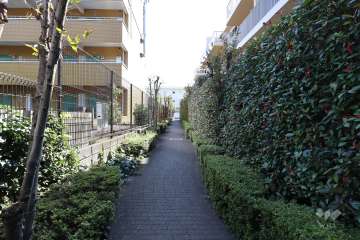 敷地東側の前面道路