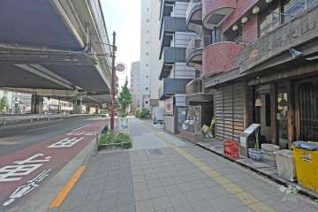 敷地北側の前面道路（西側から）