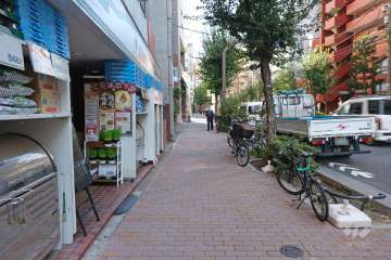 敷地南側の前面道路（西側から）