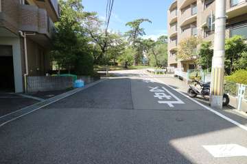 敷地南側の前面道路（東側から）