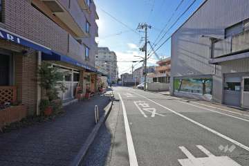 敷地北西側の前面道路（北側から）