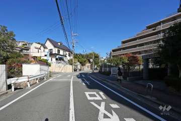 敷地北西側の前面道路（西側から）