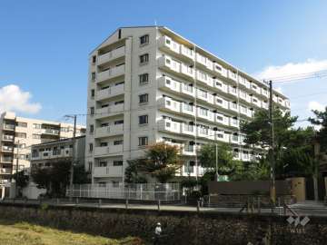 ロイヤルコート逆瀬川の外観（西側から）