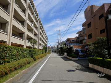 敷地北側の前面道路