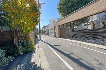 敷地西側の前面道路（北側から）