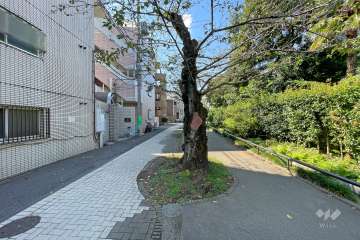 敷地北側の前面道路（東側から）