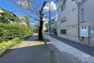 敷地北側の前面道路（西側から）